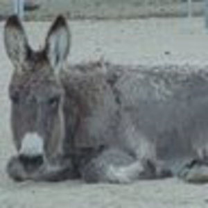 Meet your Posher, Colleen